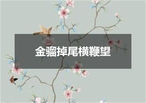 金骝掉尾横鞭望