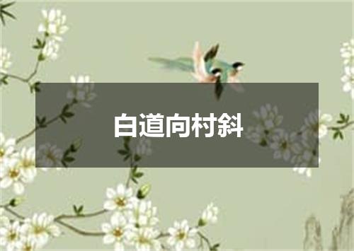 白道向村斜