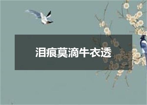 泪痕莫滴牛衣透