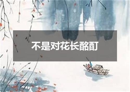 不是对花长酩酊