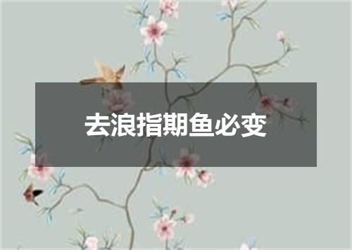 去浪指期鱼必变