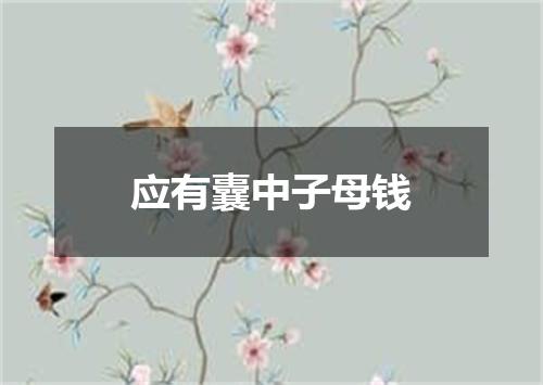 应有囊中子母钱