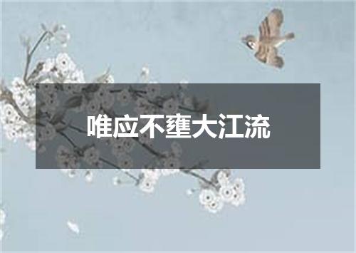 唯应不壅大江流