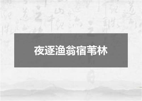夜逐渔翁宿苇林