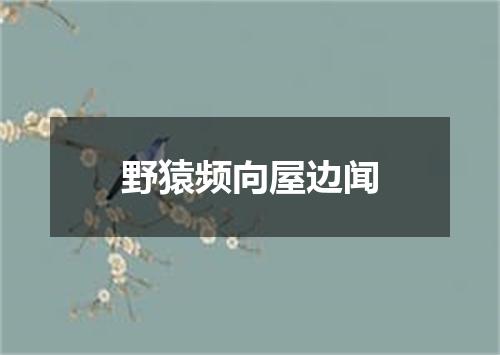野猿频向屋边闻