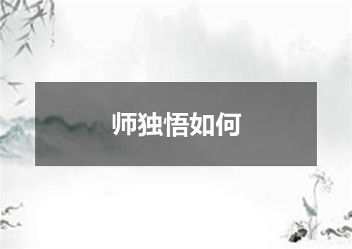 师独悟如何
