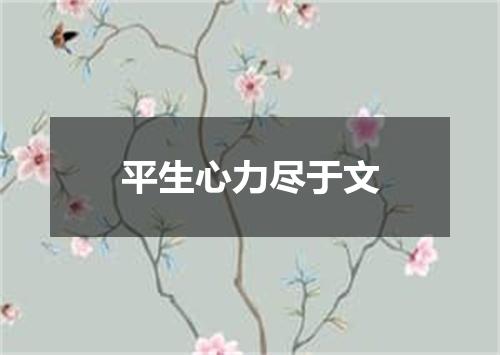 平生心力尽于文