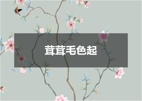 茸茸毛色起