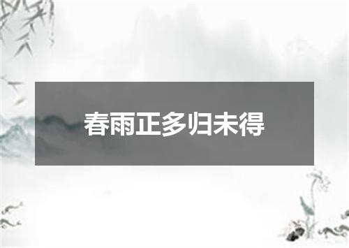 春雨正多归未得