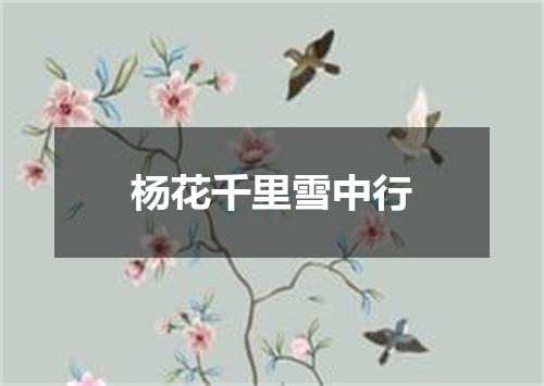 杨花千里雪中行