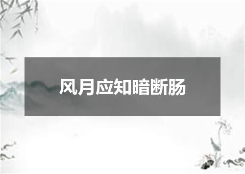 风月应知暗断肠