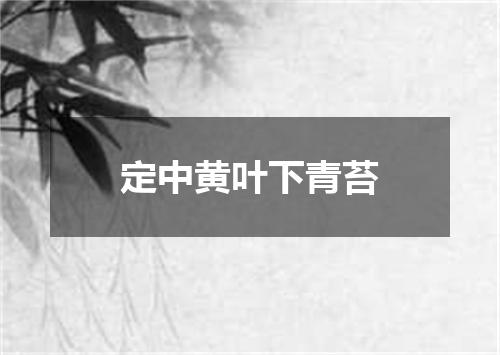 定中黄叶下青苔