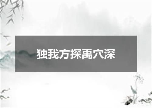 独我方探禹穴深