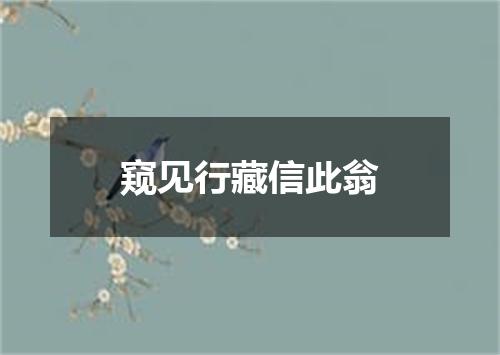 窥见行藏信此翁