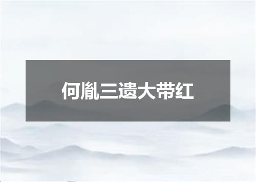 何胤三遗大带红