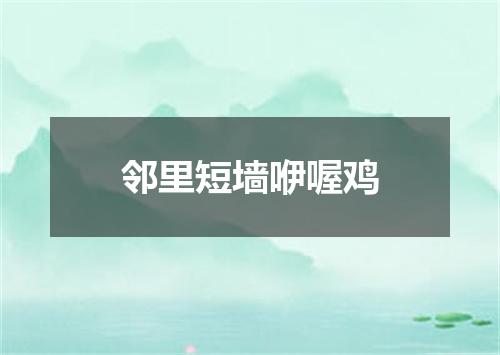 邻里短墙咿喔鸡