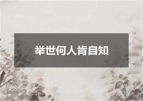 举世何人肯自知