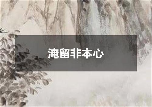 淹留非本心
