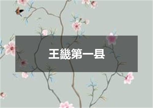 王畿第一县