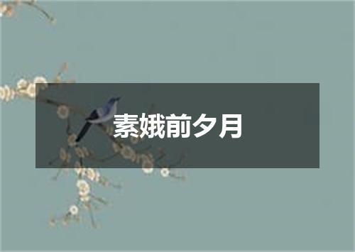 素娥前夕月