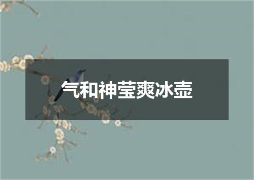 气和神莹爽冰壶