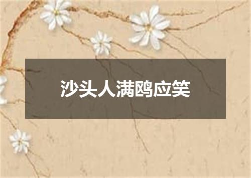 沙头人满鸥应笑
