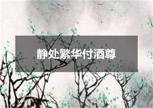 静处繁华付酒尊