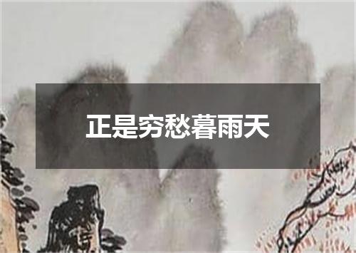 正是穷愁暮雨天