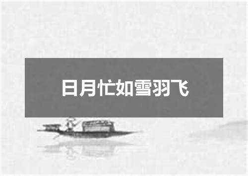 日月忙如雪羽飞