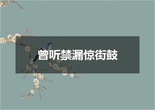 曾听禁漏惊街鼓