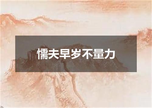 懦夫早岁不量力