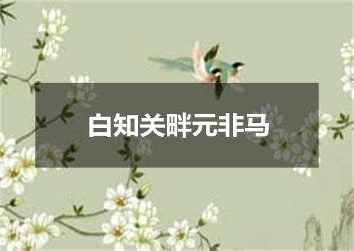 白知关畔元非马
