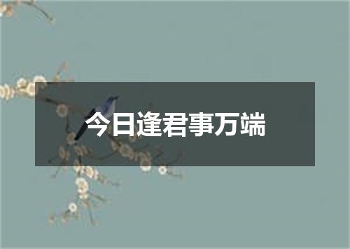 今日逢君事万端