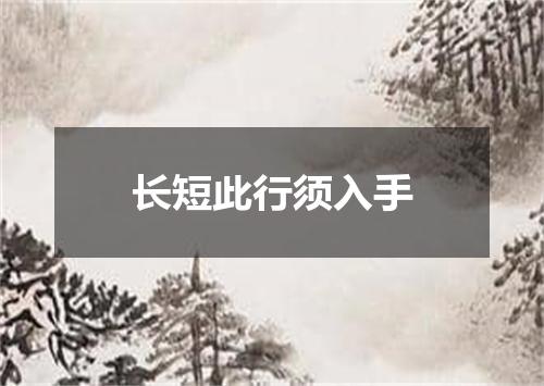 长短此行须入手