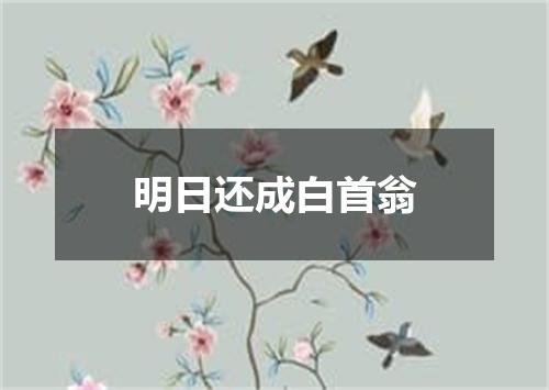 明日还成白首翁