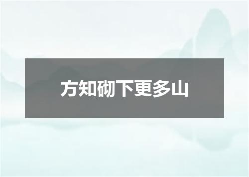 方知砌下更多山
