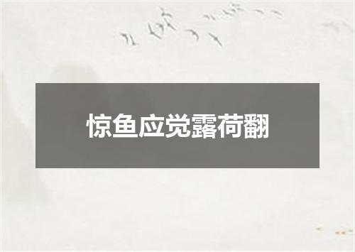 惊鱼应觉露荷翻