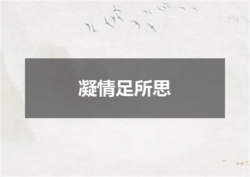 凝情足所思