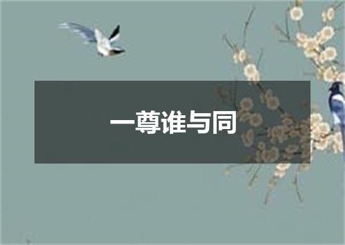 一尊谁与同