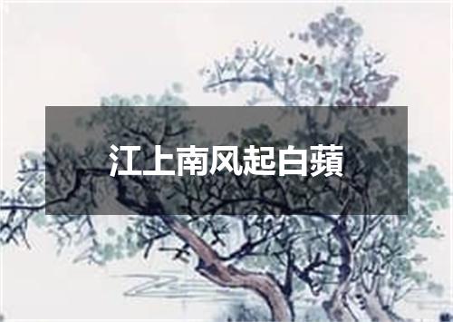 江上南风起白蘋