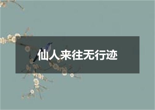 仙人来往无行迹