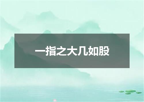 一指之大几如股