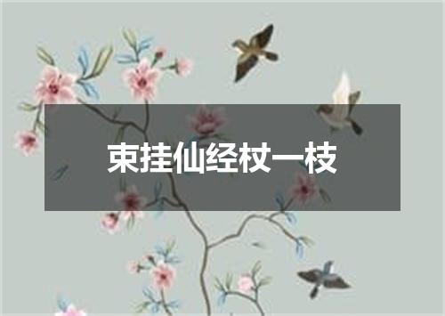 束挂仙经杖一枝