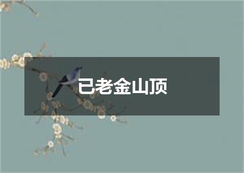已老金山顶