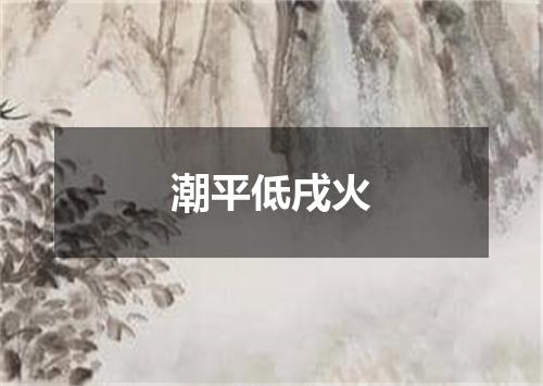 潮平低戌火