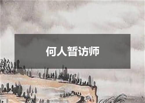何人暂访师