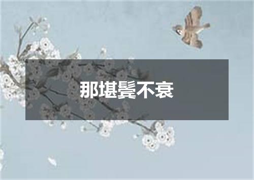 那堪鬓不衰