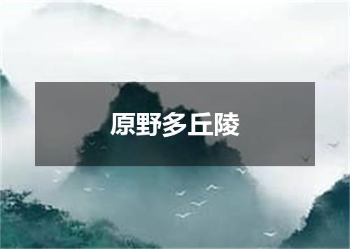 原野多丘陵