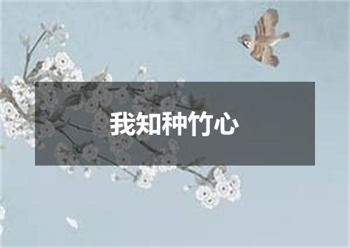 我知种竹心