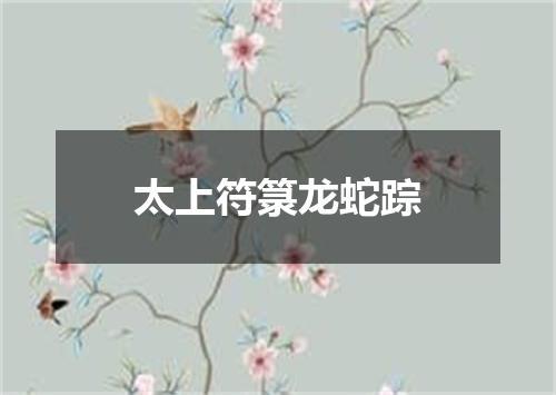 太上符箓龙蛇踪